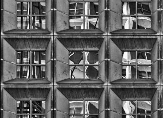 Composizione Fotografica: Tecniche e Principi Fondamentali